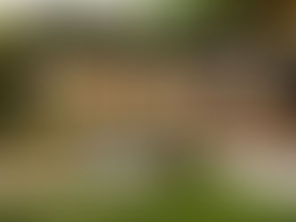 Inside Casa Airbnb: What to Expect at Milano-Cortina 2026