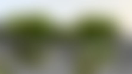 De Brinken worden opgeknapt (Kraayenstein)