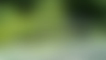 Cricket on your Tennis Court?