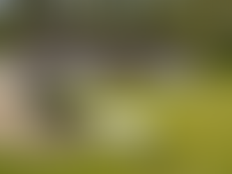 SPONSOR A PLINTH STONE