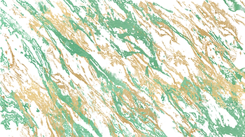 Banner.png