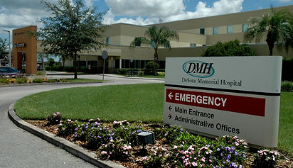 Picture of DMH