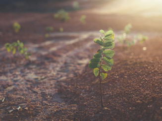 Business Growth 101
