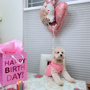 Happy Birthday, Joy!