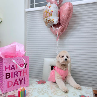 Happy Birthday, Joy!