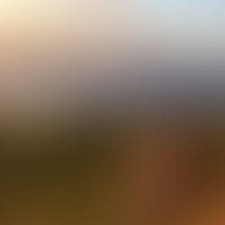 I've Been to the Mountaintop