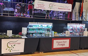 Fern's Frogs® at NY Metro Reptile Expo 9/8/2024