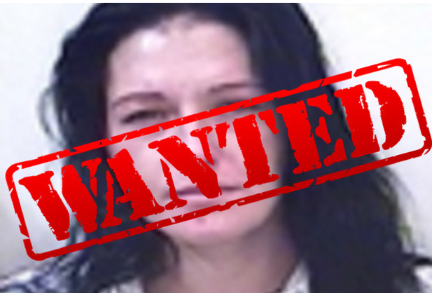 Plymouth's most wanted