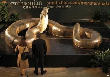 Titanoboa