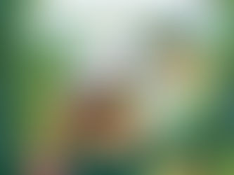 Újra megjelent a Nádtengeri rejtélyek