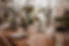 CocoGonserPhotography-156.jpeg