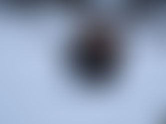 Yellowstone Part IV - experiencing the four seasons of Yellowstone