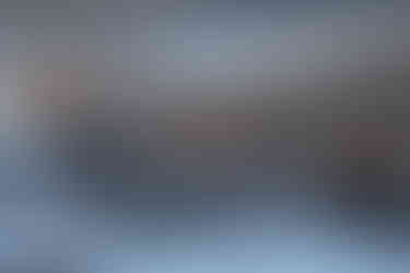 A herd of reindeer in Sonfjället NP