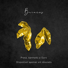 brincos_edited.jpg