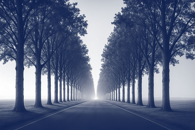 Orchard Road Capital image.jpg