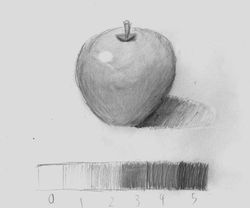 蘋果素描 21-22
