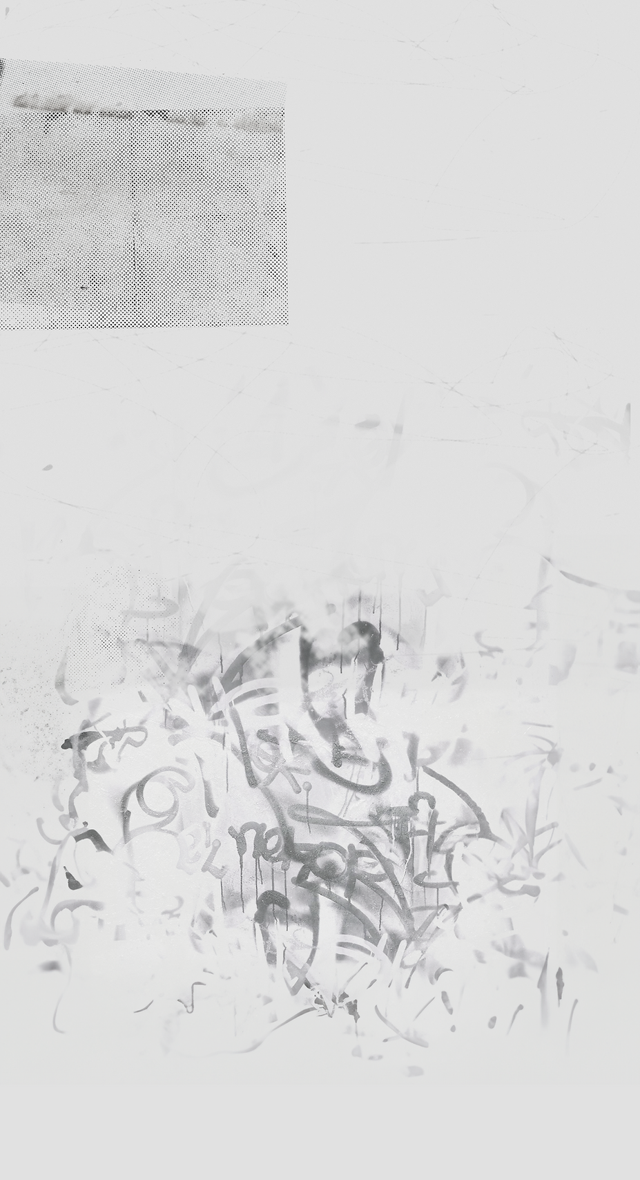 fondo2.png