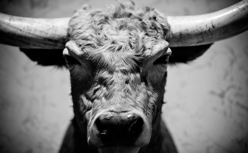 grab the bull by the horns