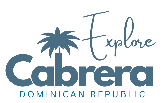 black white simple palm logo-2.png