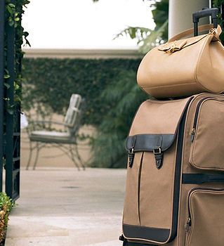 Brown Luggage