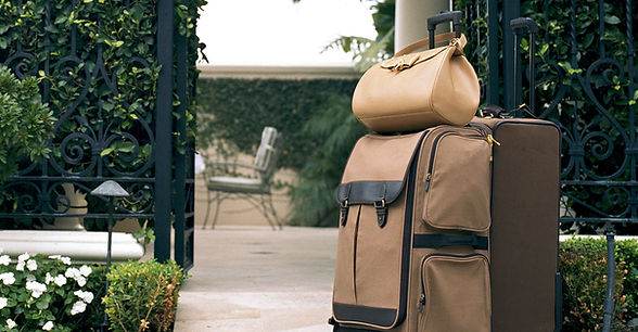Brown Luggage