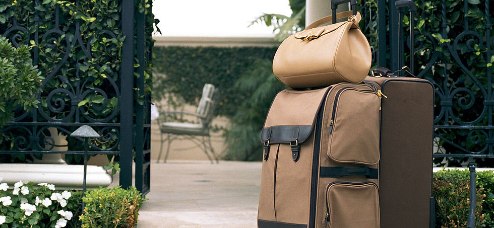 Brown Luggage