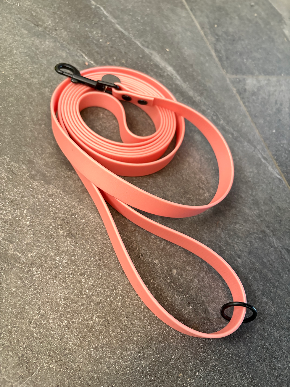 Miniatyrbild: BioThane - Laxrosa 