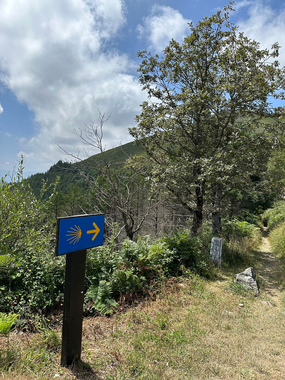 A blue sign with an arrow and a yellow shell. On a mountain with a natural view.