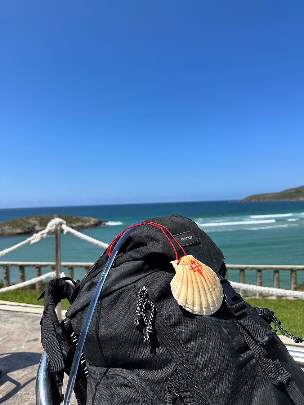 Camino de Santiago: Storia e Percorsi