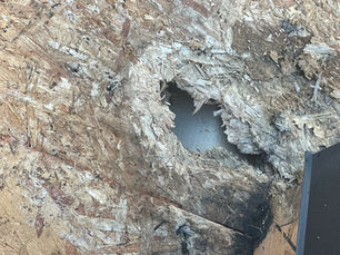 From Small Leak to Brand New Roof: The Story of One Smart Decision