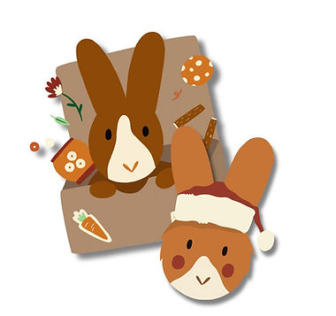 Kontent konijn illustraties.jpg