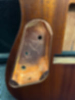 Thumbnail: Parklane Guitars Floyded 24 Fret Rock Guitar