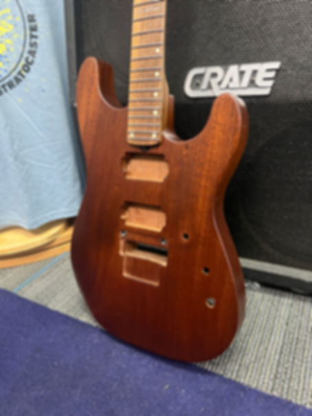 Parklane Guitars Floyded 24 Fret Rock Guitar