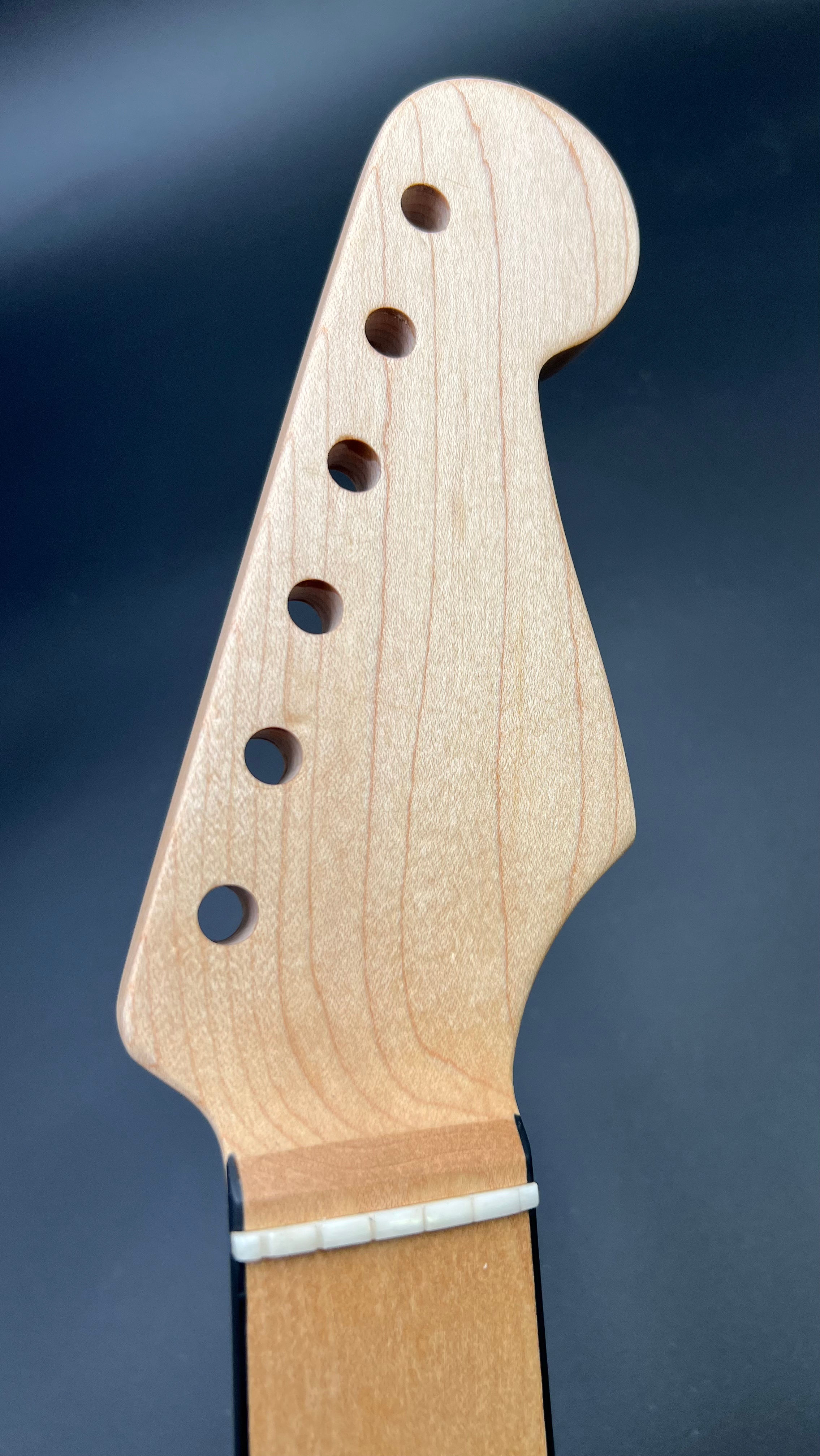 Parklane Guitars In Stock Guitar Necks Maple Black Binding
