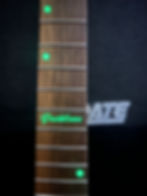 Thumbnail: Parklane Guitars Floyded 24 Fret Rock Guitar
