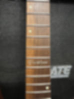 Thumbnail: Parklane Guitars Floyded 24 Fret Rock Guitar