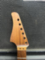 Thumbnail: Parklane Guitars Floyded 24 Fret Rock Guitar