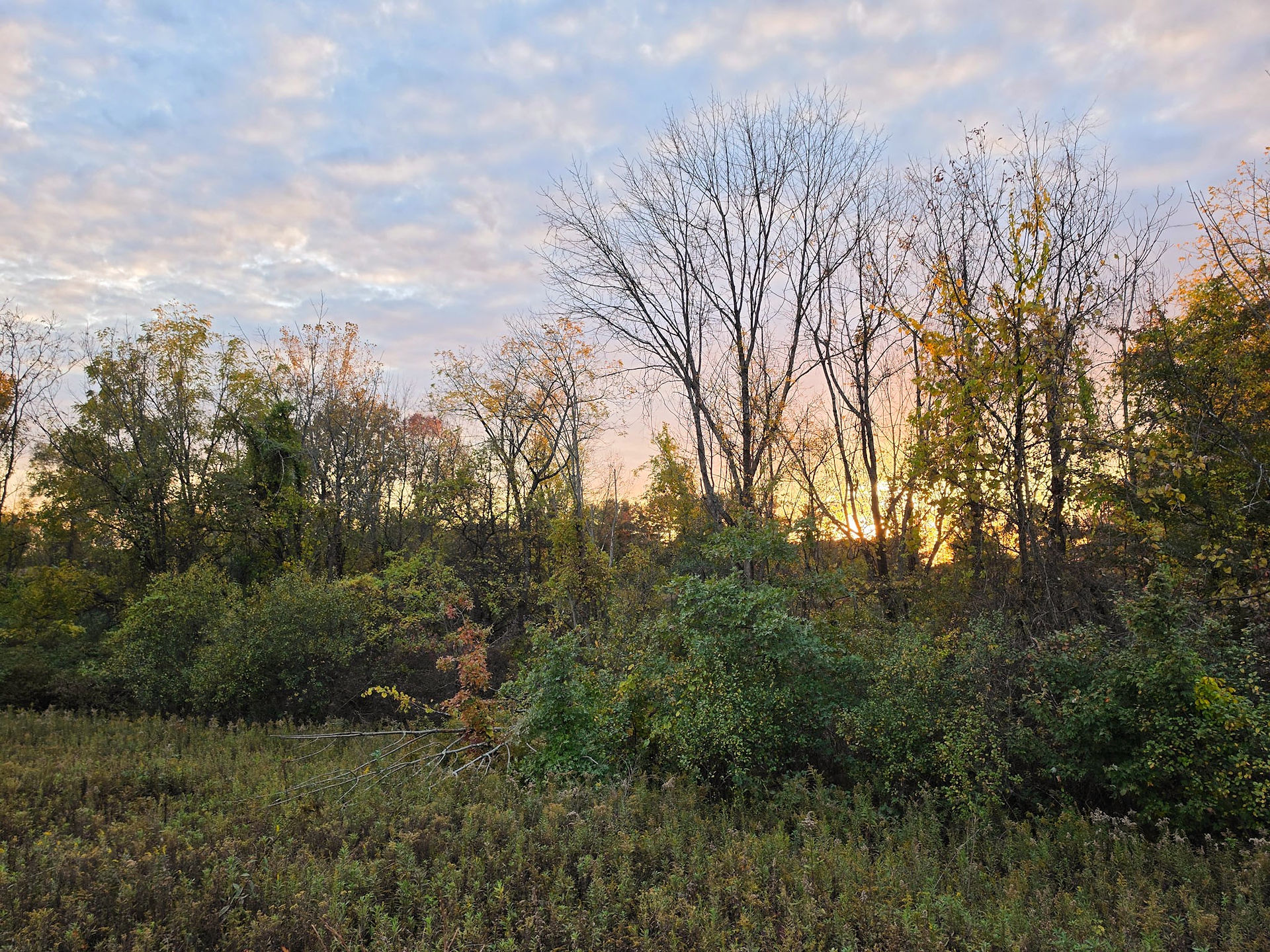 Kingfisher Way Loop Trail Lake Park