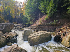 Gorge-ous Views: Exploring the Gorge Trail in Brecksville Reservation