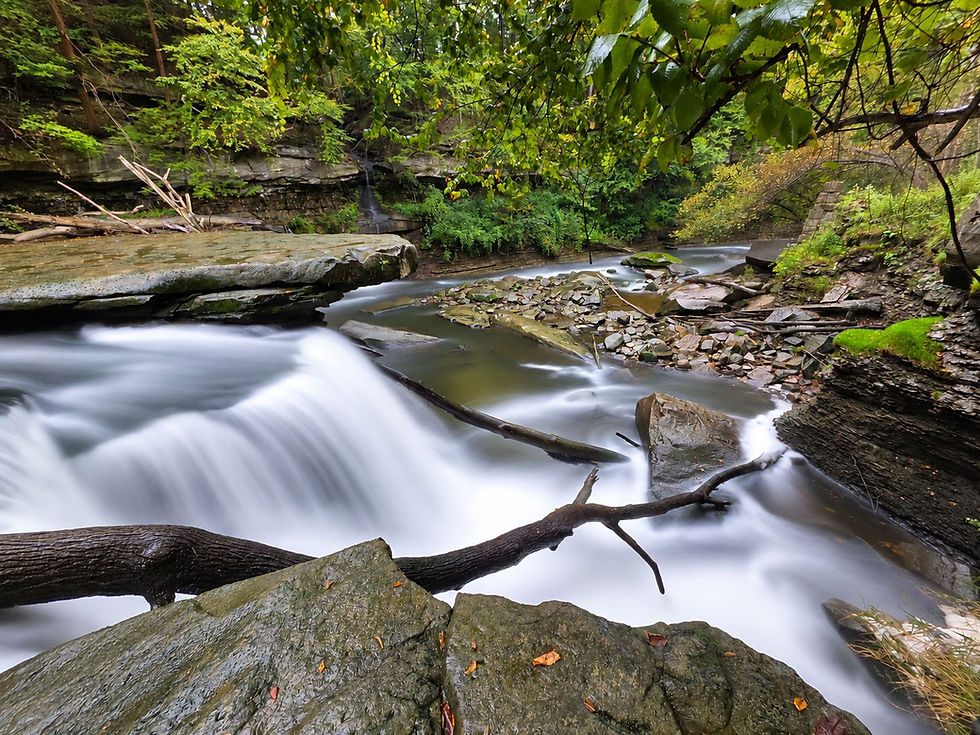 Great Falls of Tinkers Creek