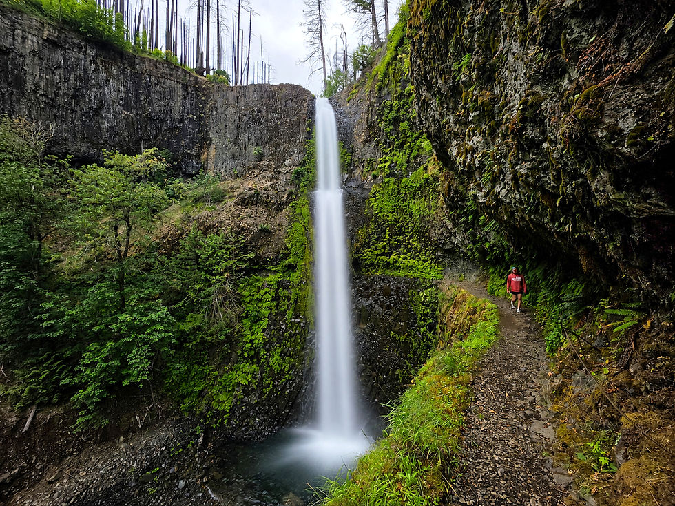 Tunnel Falls Columbia River Gorge