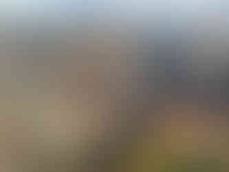 Observation Point Zion National Park