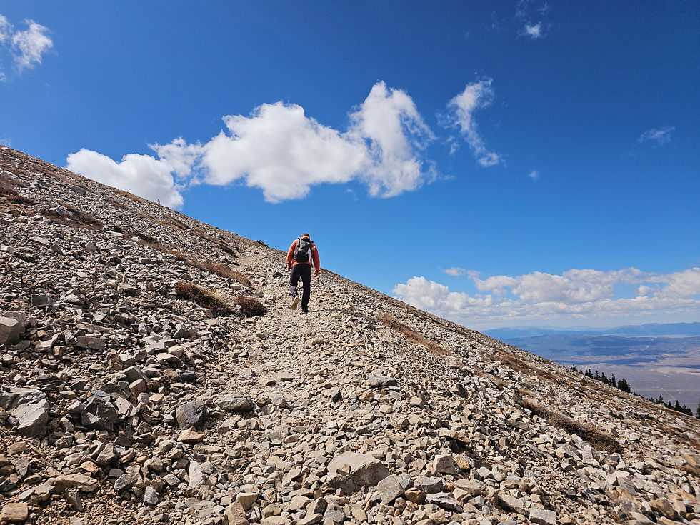 Wheeler Peak Summit Trail Great Basin