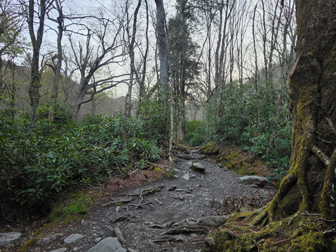 Alum Cave Trail Mount LeConte