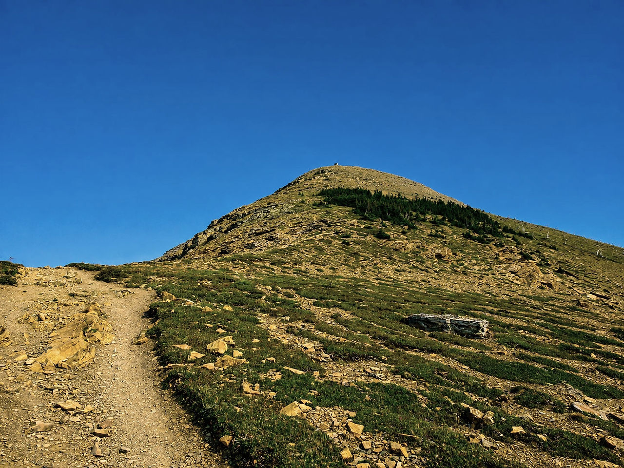 Swiftcurrent Mountain Lookout Trail