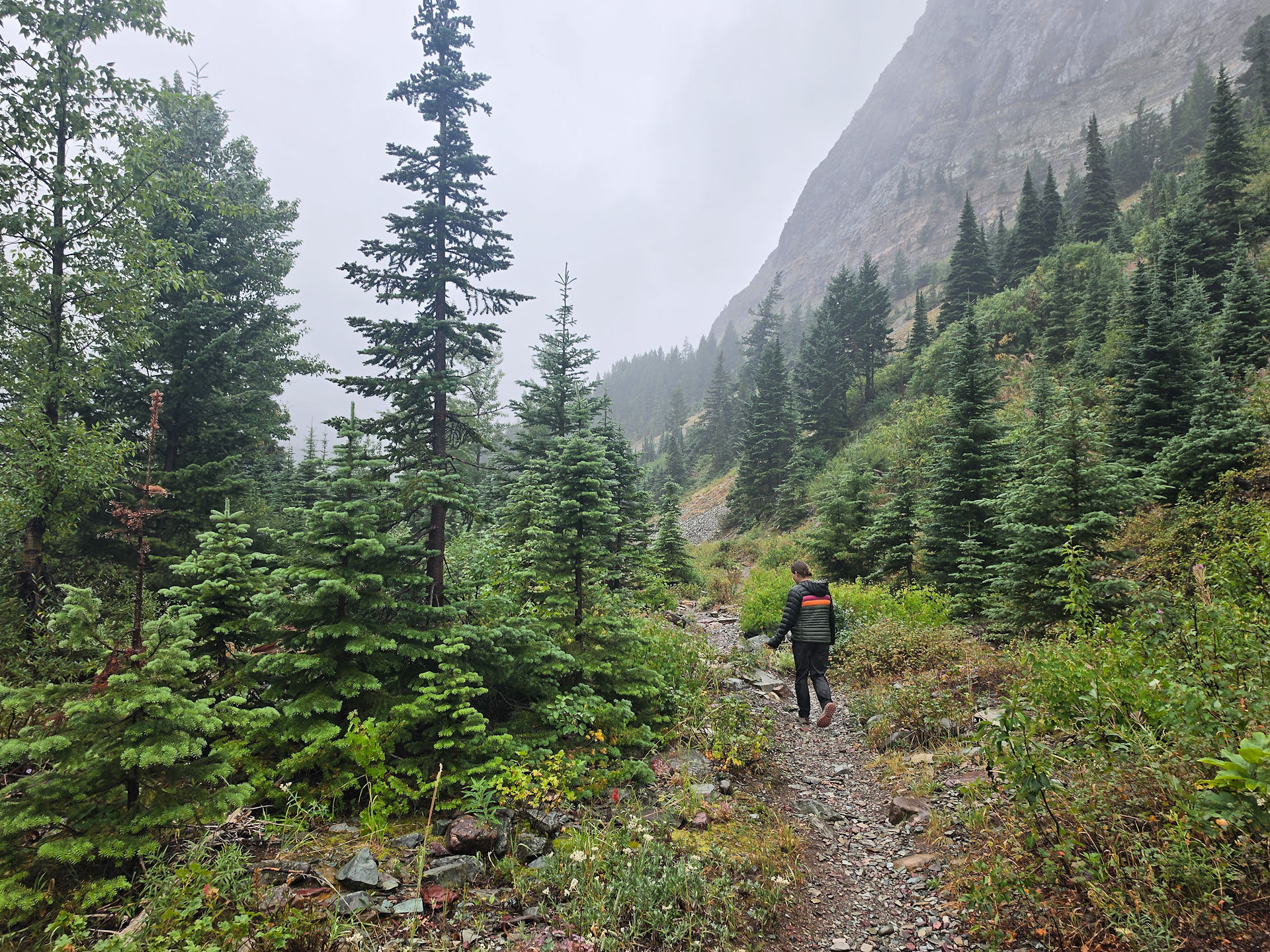 Cracker Lake Trail