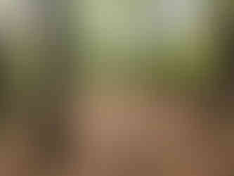 Buckeye and Valley Bridle Trail Cuyahoga Valley National Park