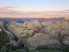 Backpacking Zion's West Rim Trail: Jaw-Dropping Views and Wilderness Solitude
