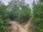 Beauty Mountain Trail New River Gorge