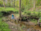 Old Carriage Trail Cuyahoga Valley National Park